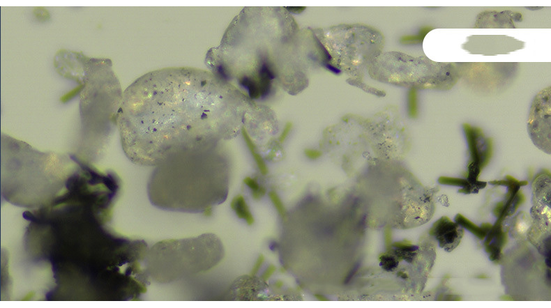 Trinocular biological microscope laboratory observation of microbial cells mite sewage