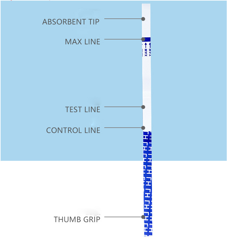 LH Ovulation Test Strips Pregnancy Test Strips Wholesale Manufacturers