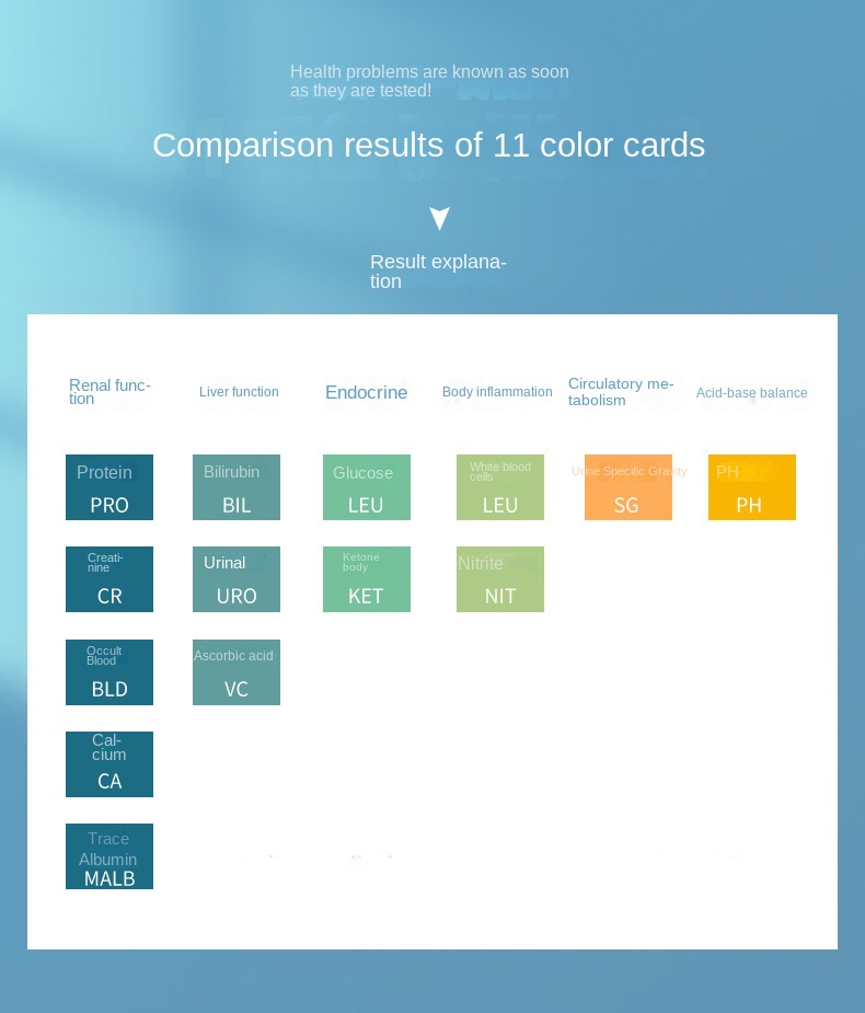 Liver Kidney Endocrine Urine Routine Urinalysis Test Strips Manufacturers