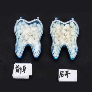 Anterior teeth posterior crown temporary dental equipment