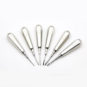 Dental tooth stainless steel extraction