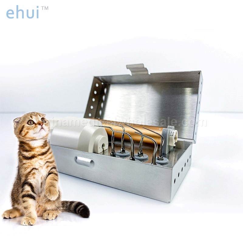 Painless intelligent control veterinary equipment ultrasonic dental cleaning machine periodontal treatment equipment