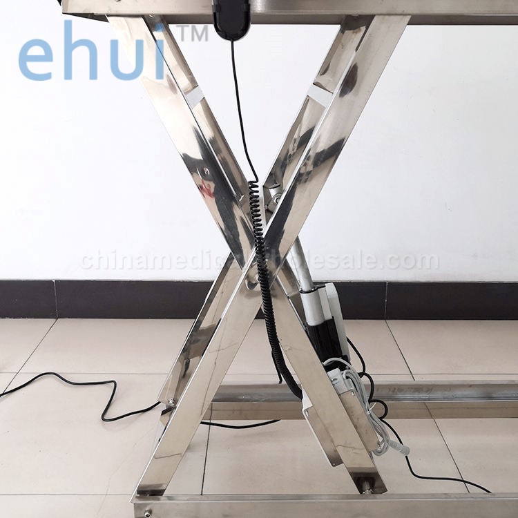 Pet electric lift examination table