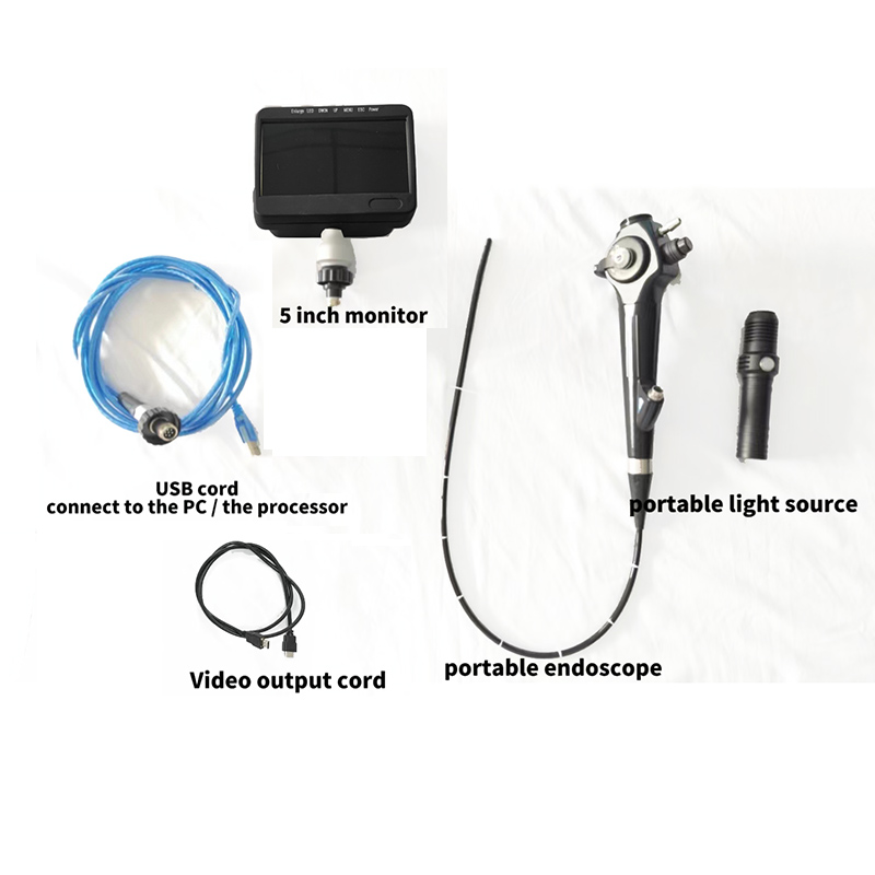 HD Electronic Portable Medical Endoscope Ureteroscope Wholesale