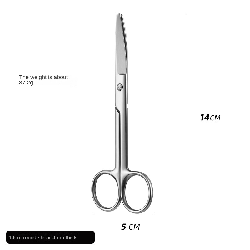 14cm stainless steel scissors teaching surgical scissors suture removal scissors