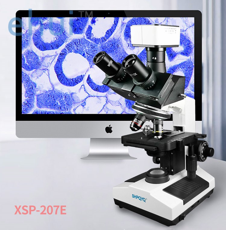 Trinocular biological microscope laboratory observation of microbial cells mite sewage