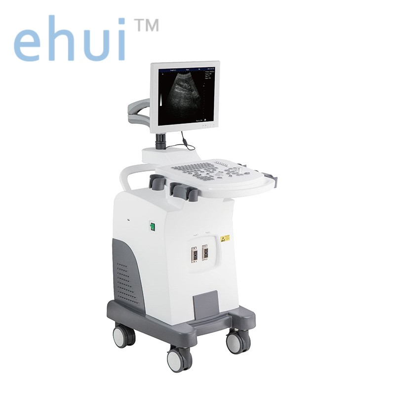 Low cost Trolley ultrasound full digital machine YH-350 ultrasound scan